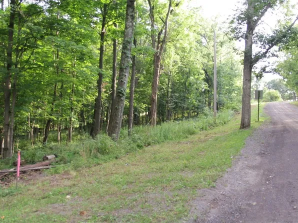 0 W Enfield Center Rd, Ithaca, NY 14850