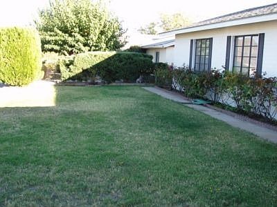Front Lawn and Rose Garden