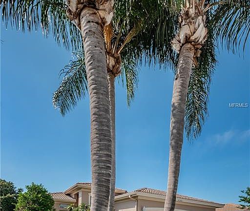 2nd image of 4383 Live Oak Blvd