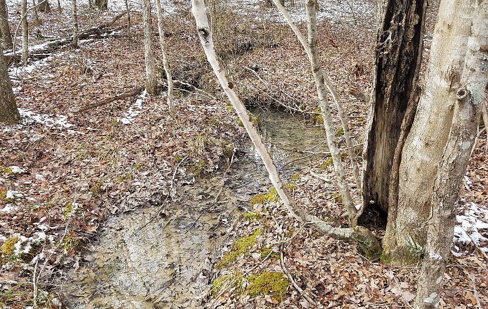 1st image of 151 Indian Trail Dr #52