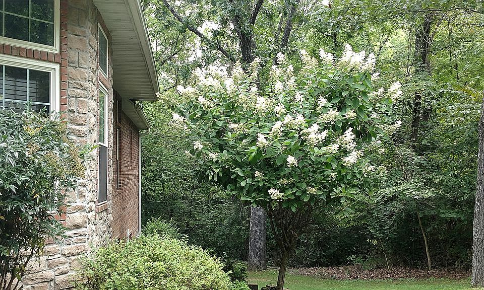 2nd image of 2489 W Pebble Creek Dr