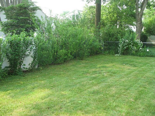 2nd image of 59 Joyce Rd