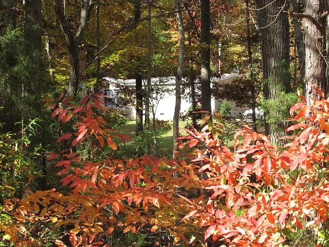 2nd image of 4112 Glenola Dr