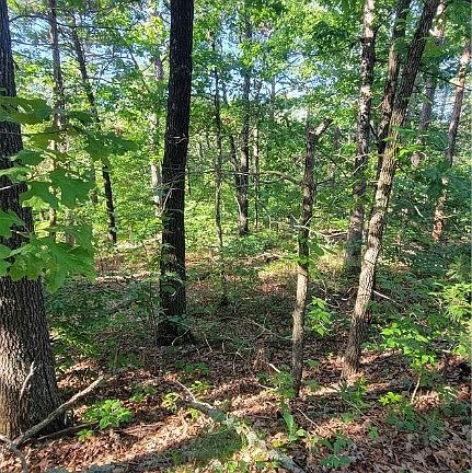 2nd image of Severn Ln #26