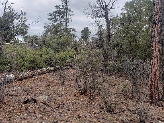2nd image of 1835 S Twin Peak Trl