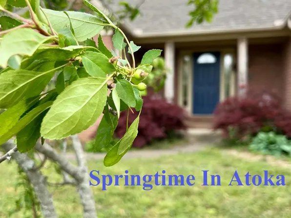 380 Bethel Rd, Atoka, TN 38004