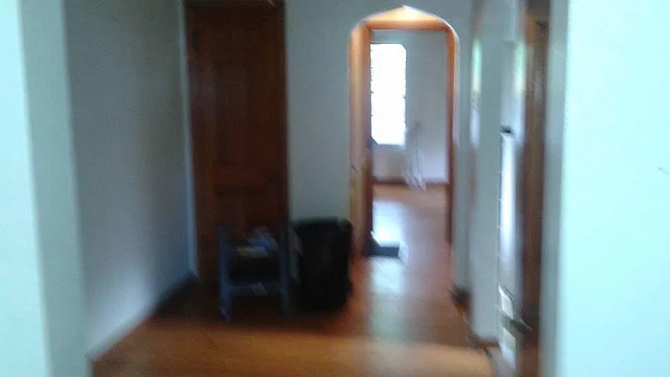 1 bed, 675 sqft, $850 — Photo 3