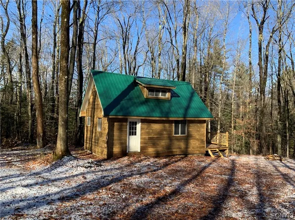 0 Irish Settlement Rd #7, Dolgeville, NY 13329