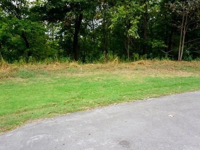 Lot 11 Oak Bluff Road, Branson, MO, 65616