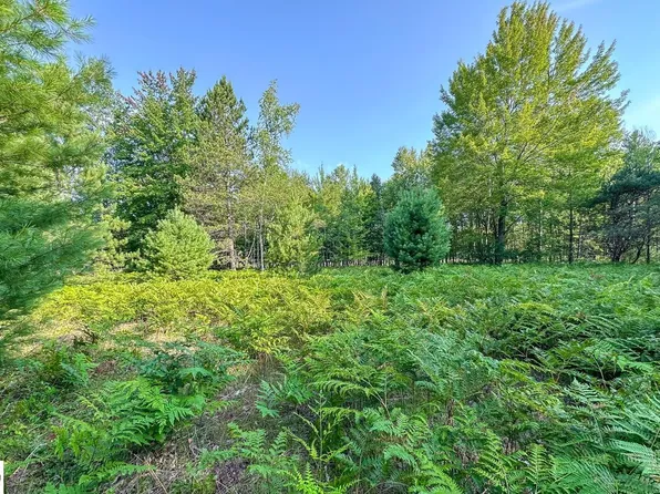 1325 N Coleman Rd, Shepherd, MI 48883
