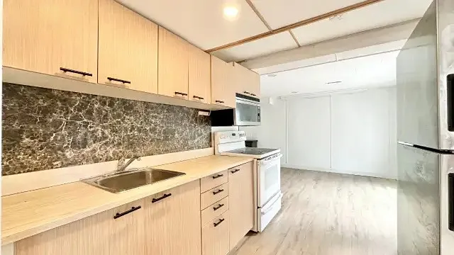 1 bed, 436 sqft, $1,900 — Photo 4