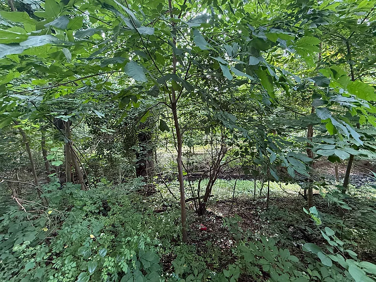 The patio faces a quiet brook
