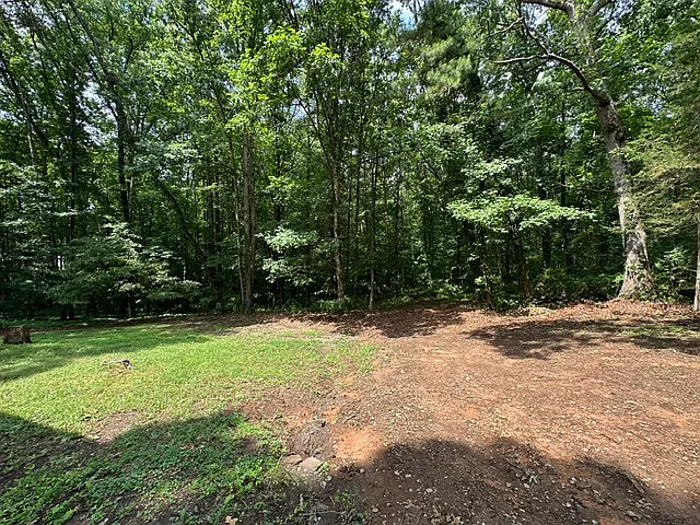 2924 New Hope Rd — Photo 4