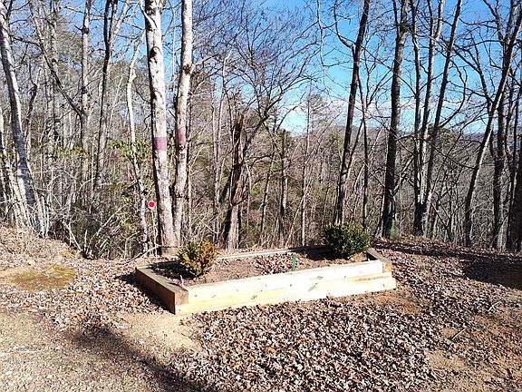 4th image of 0 Lyle Knob Rd