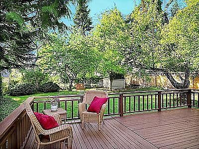 Deck and backyard