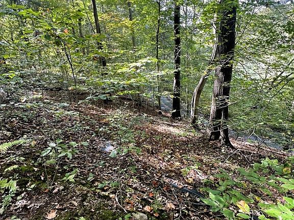 4th image of 1 Laurel Ridge Ln