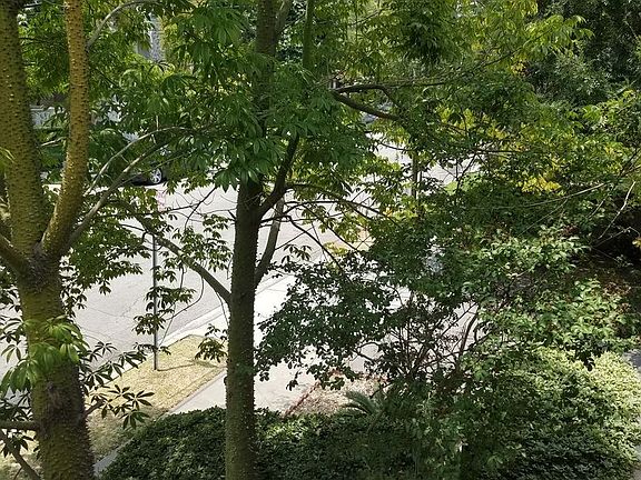 5th image of 1324 S Alta Vista Ave APT 28