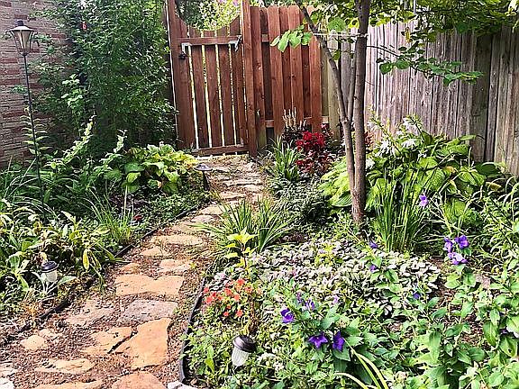 Back yard Gate