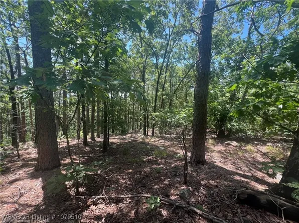 0 Billy Creek Rd, Muse, OK 74949