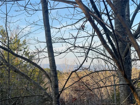 0 Walking Tall Rdg, Tamassee, SC 29686