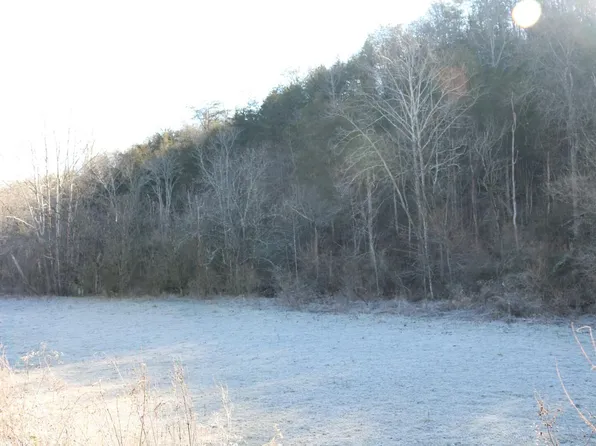 530 War Creek Rd, Eidson, TN 37731