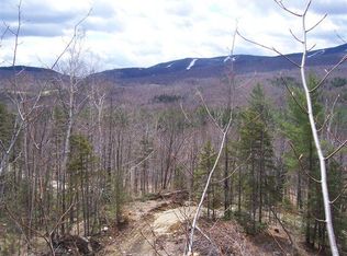 Tbd Sunday River Road Riley Twp, Newry, ME 04261