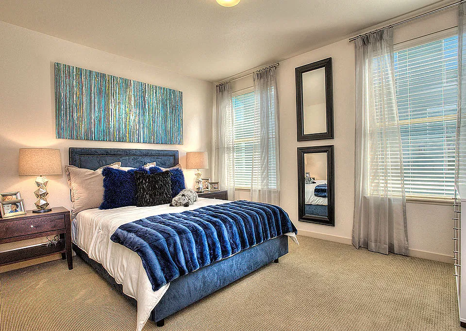Light-Filled Rooms