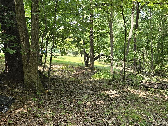 5th image of 0 Big Ridge Rd Lot 40