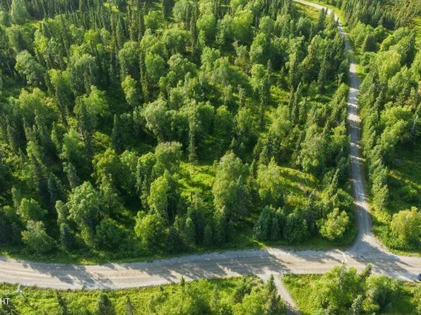 53330 Stol Rd, Clam Gulch, AK 99568