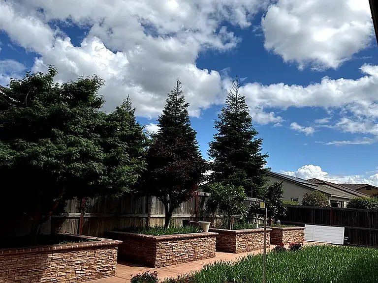 10005 Atrio Cir — Photo 25