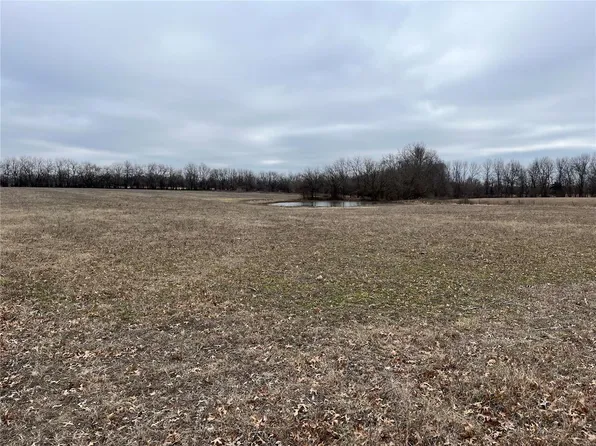 0 Pike 480, Bowling Green, MO 63334