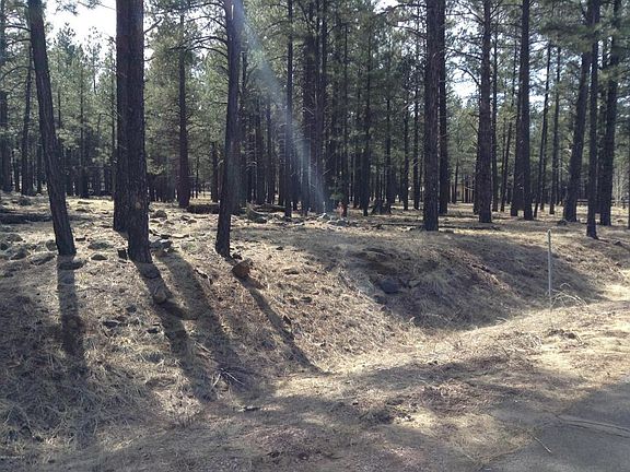 4th image of 2868 N Boldt Dr