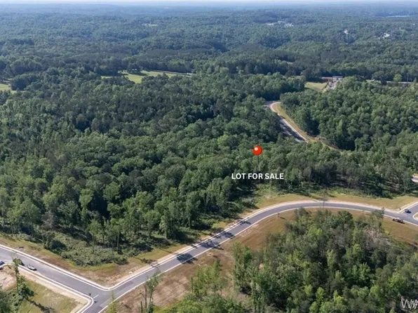 10 Lake Island Rd, Tuscaloosa, AL 35406