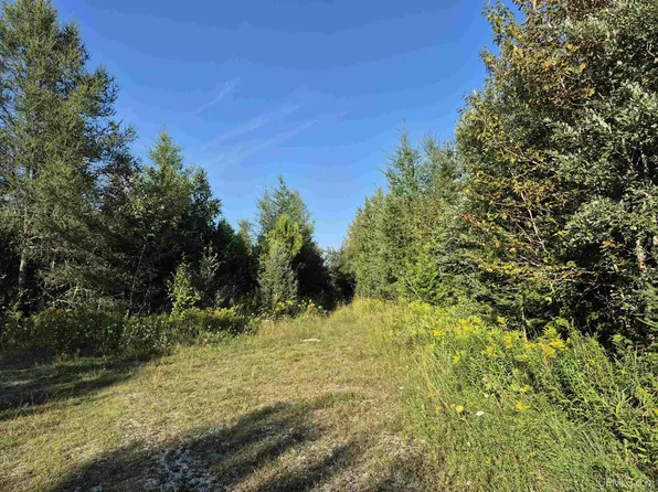252 Acres River Rd, Gulliver, MI 49840