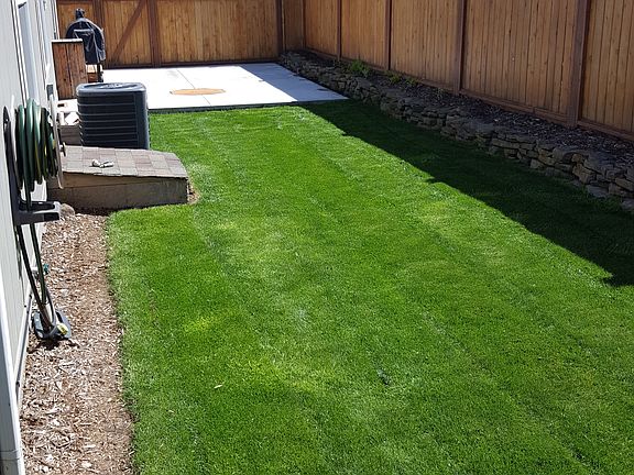 New Fence installed 2014