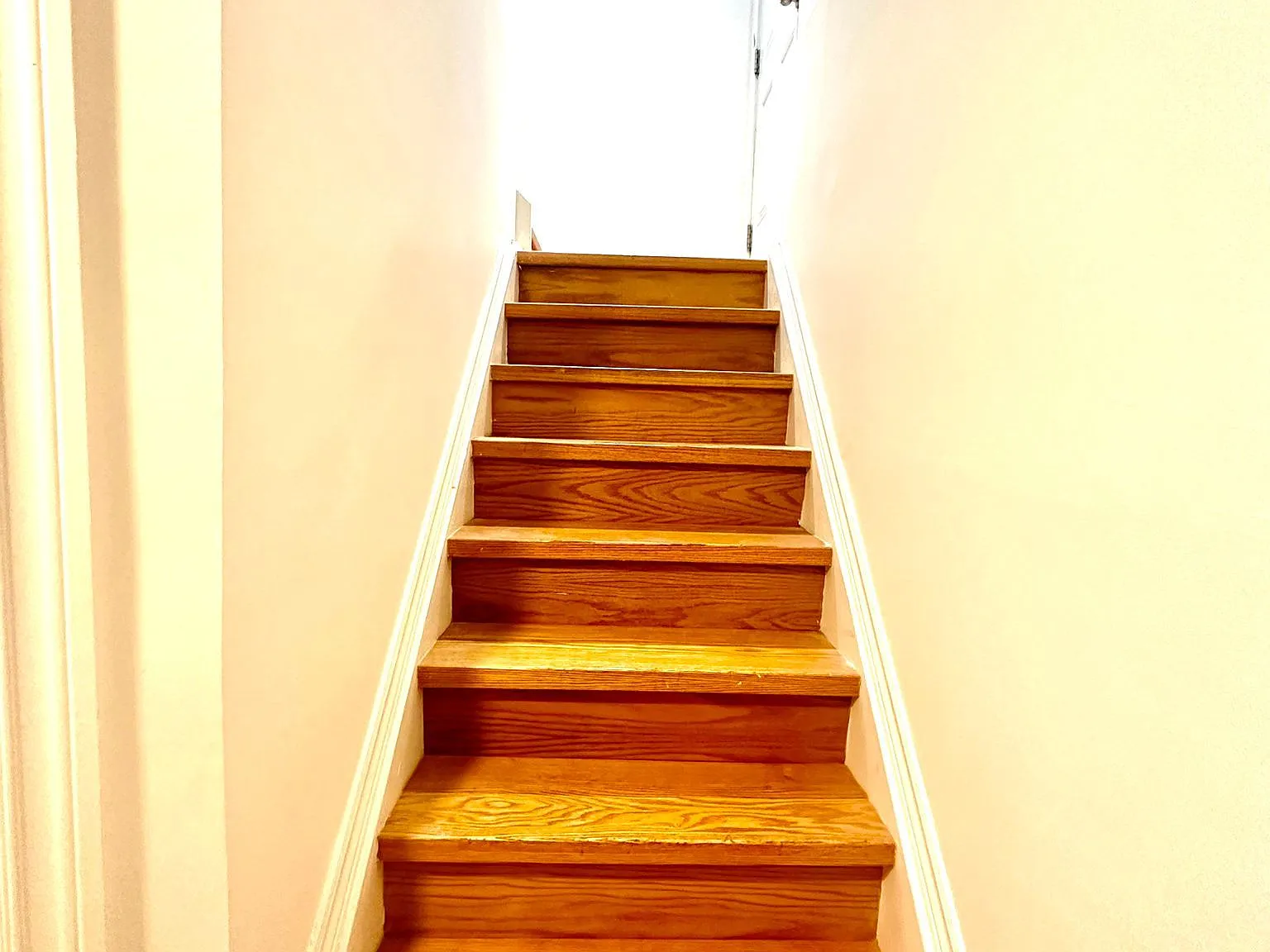 1 bed, $1,600 — Photo 4