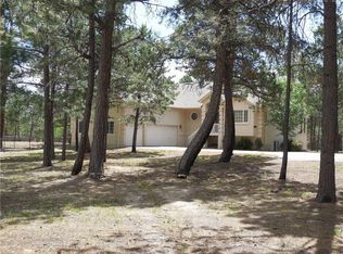 11190 Salt Creek Pl, Colorado Springs, CO 80908