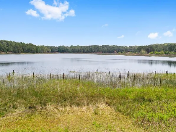 14620 SE 47th Loop, Ocklawaha, FL 32179