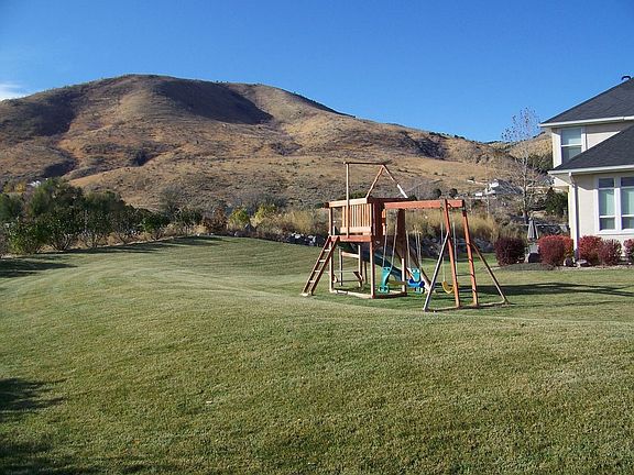 Large, open backyard