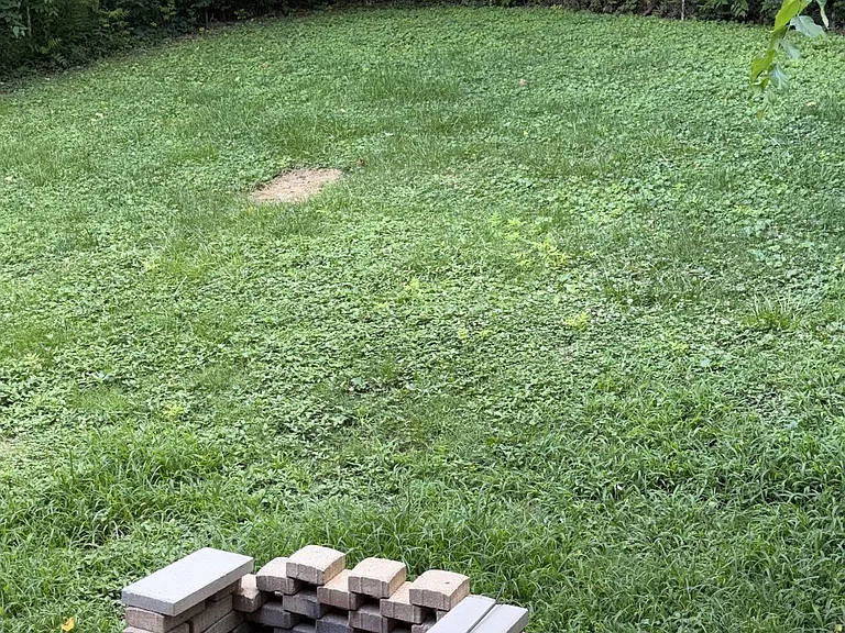 443 Cedarmont Dr — Photo 21