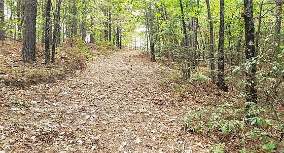 4th image of 4028 Skyline Dr
