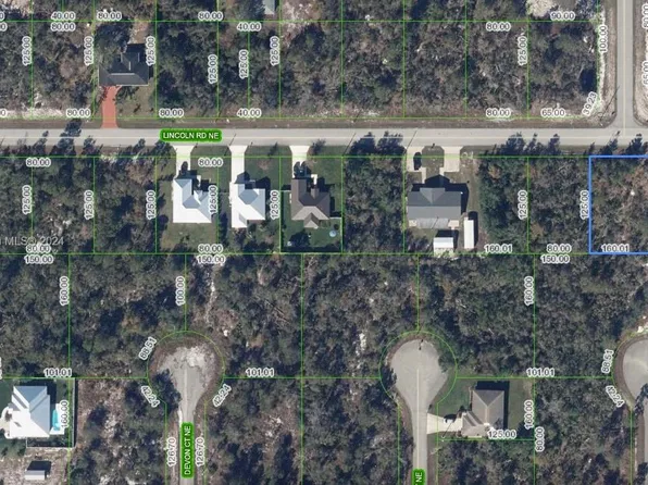 297 Lincoln Rd NE, Lake Placid, FL 33852