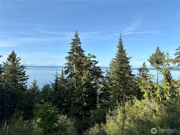 0 Raccoon Point Road Lot 19, Orcas Island, WA 98245