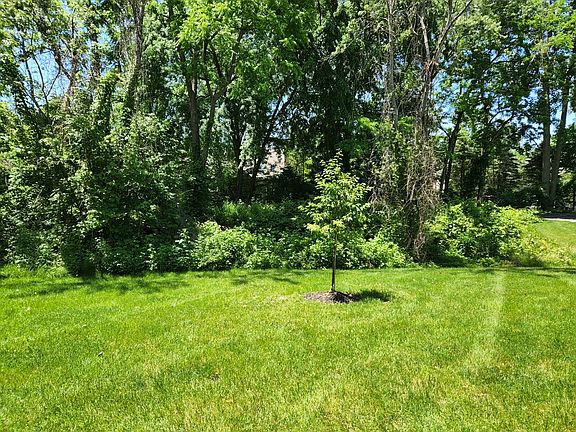 5th image of 333 Maddalena Ln