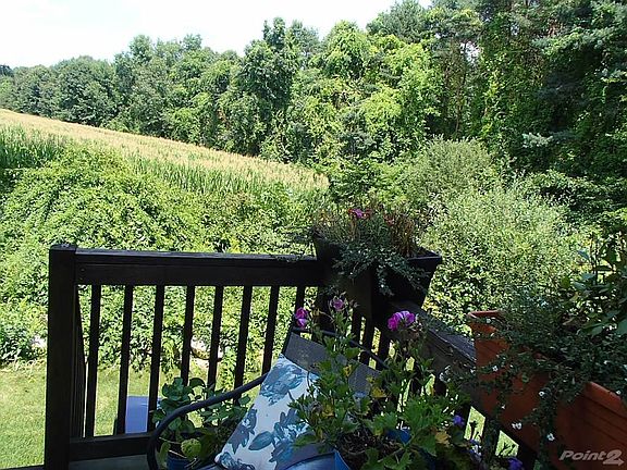 View from deck new