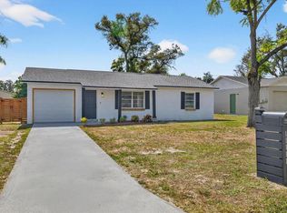 11111 Mahin Ln, Riverview, FL 33578