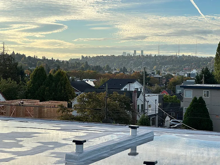 View to SE and Mt Rainier