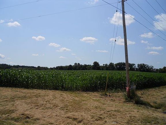 3rd image of Spruce Dr