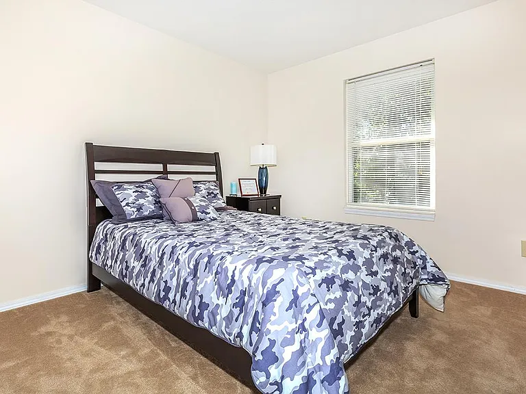 Plush Carpet Flooring
