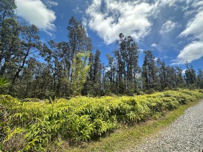 Road 5, Kurtistown, HI, 96760